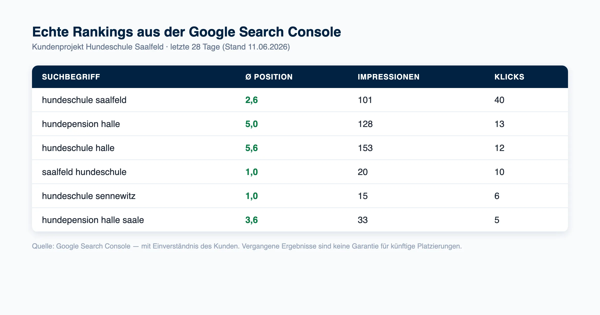Echte Rankings aus der Google Search Console: Kundenprojekt Hundeschule Saalfeld mit Top-Positionen für lokale Suchbegriffe